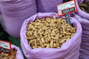 Típico das festas juninas, amendoim tem maior área plantada no PR em 12 anos