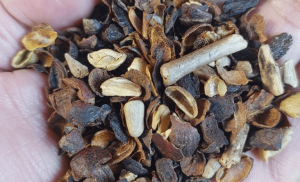 Conheça as marcas de café torrado impróprias para consumo