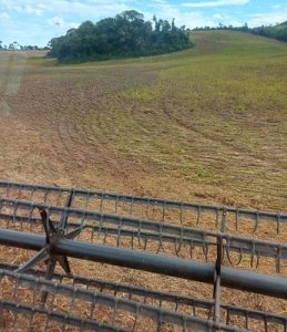 Colheita da soja é concluída em parte do RS