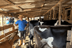 Produtores gaúchos recebem doações de alimentos para os animais
