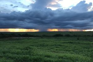 Boletim Agrometeorológico de maio indica excesso de chuvas no Sul e escassez no Norte