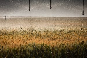 CNA em parceria com Inovagri promove 3º Encontro de Agricultura Irrigada do Brasil Central