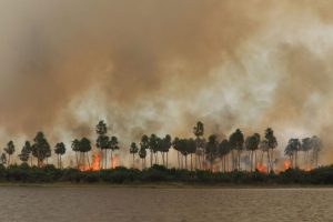 Fumaça de incêndios do Pantanal chegou ao noroeste paranaense