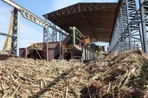 União se livrou de pagar R$ 692 milhões a usina de açúcar