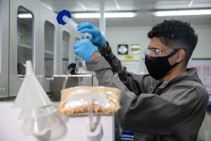Universidade explora potencial dos produtos do etanol de milho para alimentação animal