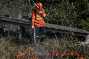 Bombeiros usam 30 mil litros de água no combate a incêndio em fazenda
