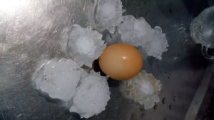 Granizos do tamanho de ovos causam estragos no Rio Grande do Sul