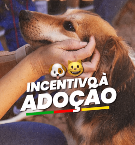 Famílias ganharão R$ 450 por animal que for adotado