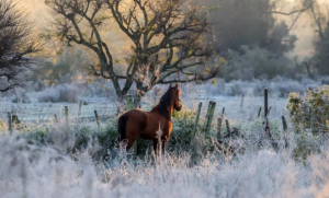 Onda de frio: Entenda por que este fim de semana será uma “geladeira”