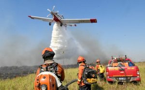 Governo de MS declara situação de emergência em cidades afetadas por incêndios florestais