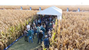 Dia de campo reúne mais de 300  pessoas em Assis Chateaubriand