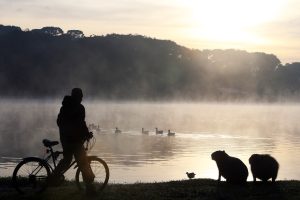 Lá vem ele: Frio de 0ºC está chegando ao Paraná