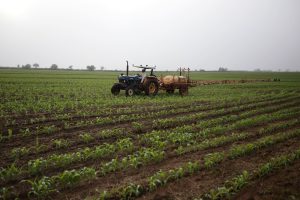Proibição do glifosato pode provocar prejuízo bilionário e ameaça sustentabilidade do agro