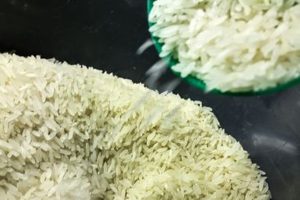 Confirmado: Diretor da Conab será exonerado após “crise” do leilão de arroz