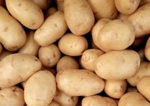 Oferta e demanda: Pesquisa aponta aumento de 40% no preço da batata