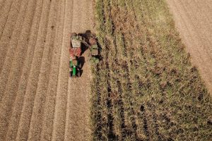 VBP Agropecuário do Paraná cresce 11% em 2023 e alcança R$ 197,8 bi