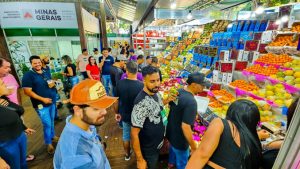 Feiras livres impulsionam a renda da agricultura familiar