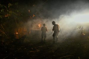 Governo de MS mantém ações para conter incêndios no Pantanal