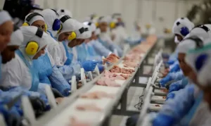 Indústria de alimentos é a que mais emprega no Brasil