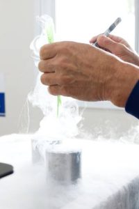 Produção e exportação de sêmen bovino crescem com força no primeiro trimestre