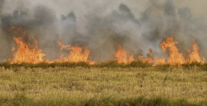 Inverno seco acende alerta de incêndios no meio rural
