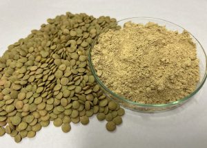 Plus proteíco: Pesquisa desenvolve concentrados de lentilha e grão-de-bico
