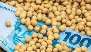 Setor agropecuário vive expectativa com lançamento do Plano Safra