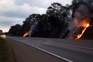 Paraná se levanta no combate aos incêndios florestais