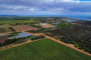 Prazo para produtor emitir Certificado de Cadastro de Imóvel Rural começa hoje