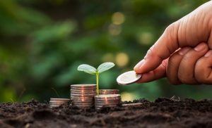 Títulos do Agronegócio apresentam bom desempenho e crescem em maio