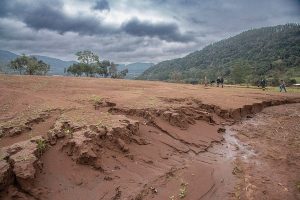 Recuperação dos solos agriculturáveis após as enchentes é tema de publicação