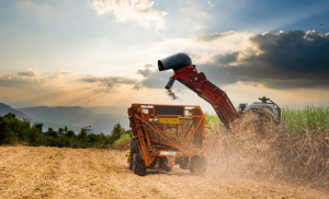 Exportações do agronegócio brasileiro atingem US$ 15,20 bi em junho