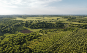 Fundo de investimento do agro cresceu 147% nos últimos 12 meses