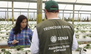 ATeG ajuda olericultora a profissionalizar a gestão da propriedade