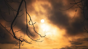 Tendência do sol predominar nesta semana no Paraná