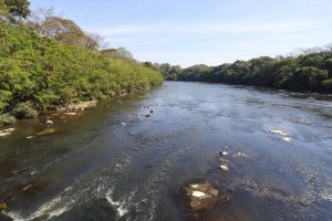 Taxa de juros tem baixa para pescadores afetados por tragédia ambiental