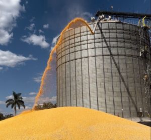 Aprovados projetos de implantação e ampliação de armazéns de grãos