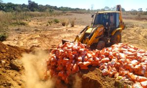 Mais de quinze toneladas de sementes irregulares apreendidas em fiscalização são destruídas