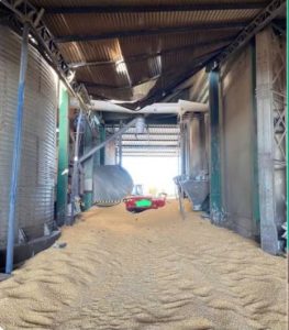 Silo desaba, mata uma pessoa e deixa duas feridas