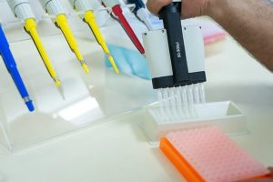 Edição gênica na agropecuária modifica genoma e abre oportunidades