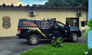 PF deflagra operação contra tráfico internacional de animais silvestres