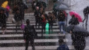 Frente fria traz chuva! Saiba as regiões que serão contempladas