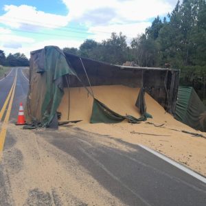 Caminhão carregado de farelo de soja tomba em rodovia