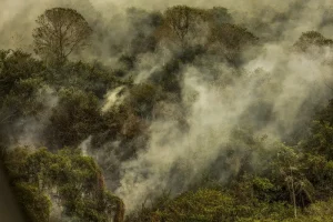Brasil arde em queimadas: Fogo avança na Amazônia, Cerrado e Pantanal