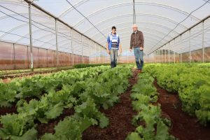 Edital destina R$ 7 milhões para projetos de extensão rural