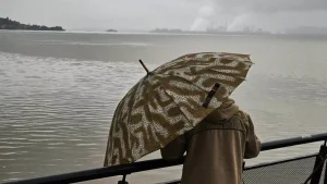 Dias de castigar: muito frio, umidade, chuva, garoa e até chuva congelada