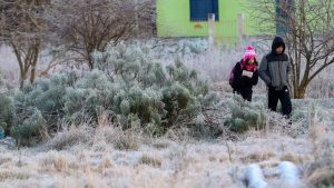 Onda de frio deixa 5 mortos na Argentina e congela paisagens do RS
