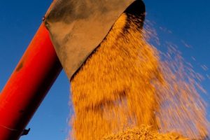 Medida provisória poderá abrir crédito extraordinário para produtores do RS