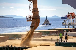 4% a mais: exportações batem 16,8 milhões de toneladas em 2024