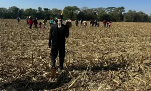 Justiça impede Funai de distribuir lona a indígenas de ocupação